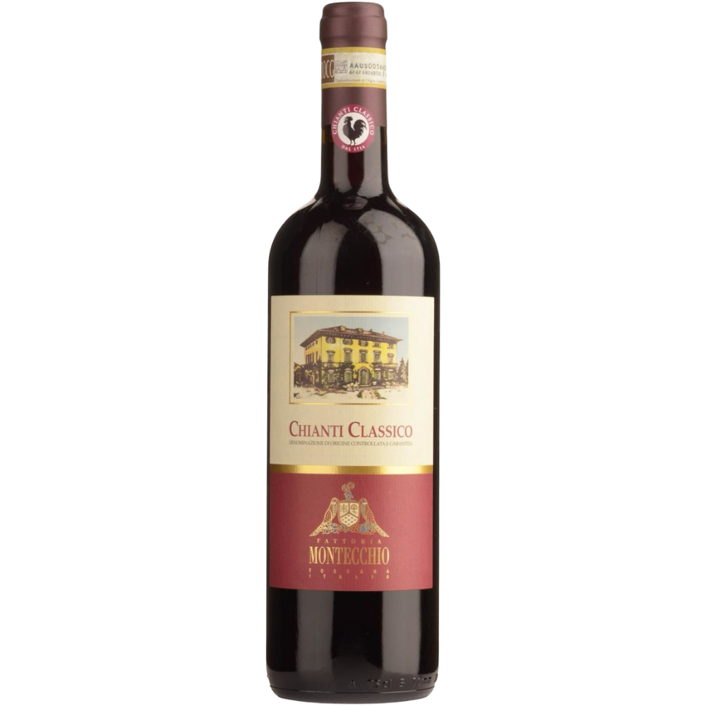 Fattoria Montecchio Chianti Classico 2022